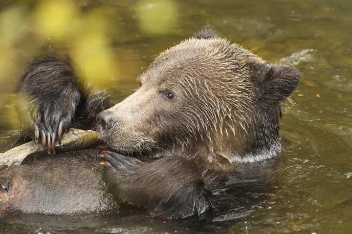 Landscape and Travel 34