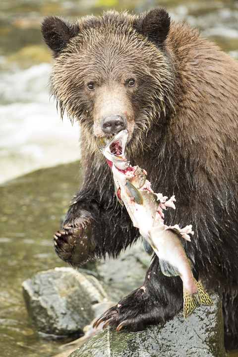 Landscape and Travel 35