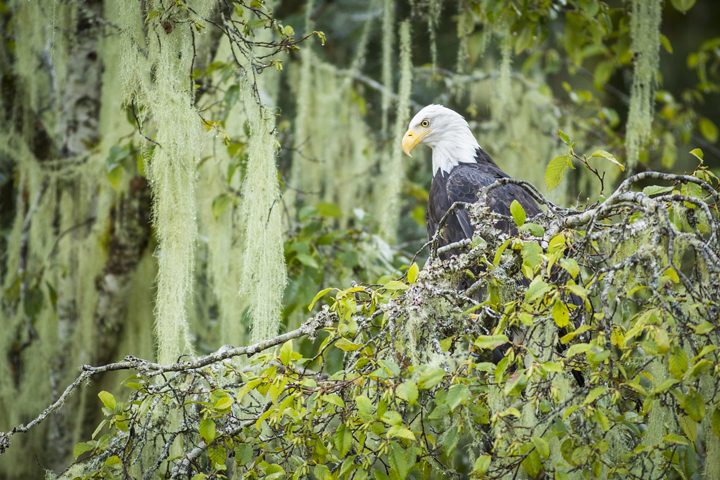 Landscape and Travel 36