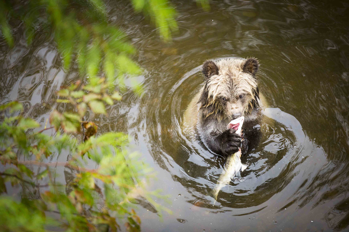 Landscape and Travel 37