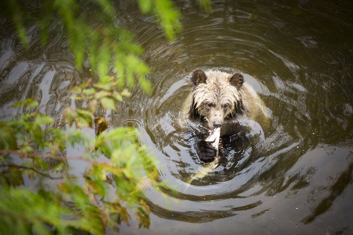 Landscape and Travel 38