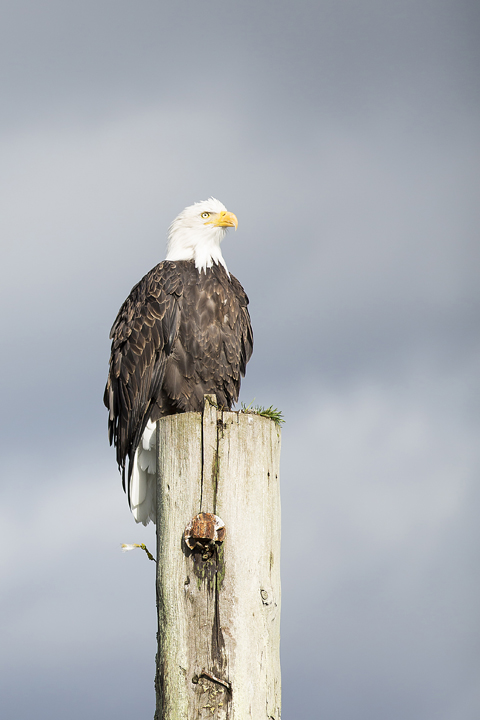 Landscape and Travel 39