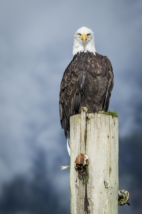 Landscape and Travel 40