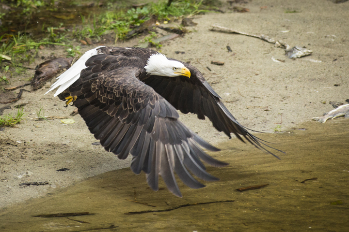 Landscape and Travel 42