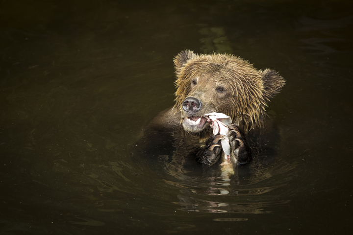 Landscape and Travel 43