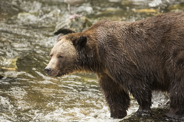 Landscape and Travel 44