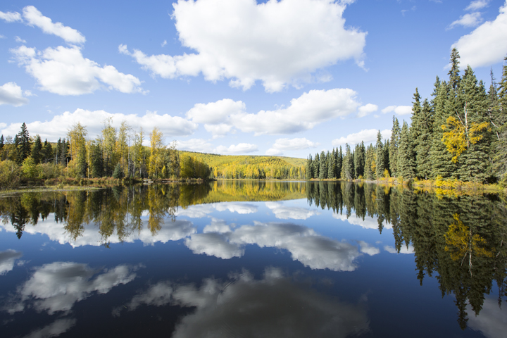 Landscape and Travel 65