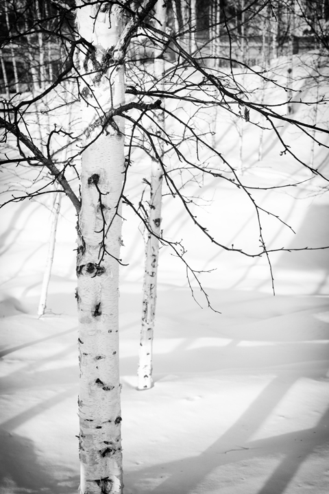 Landscape and Travel 68