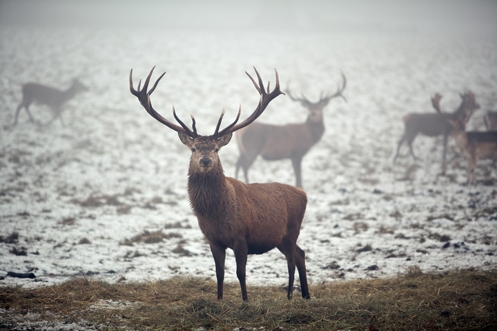 Landscape and Travel 69