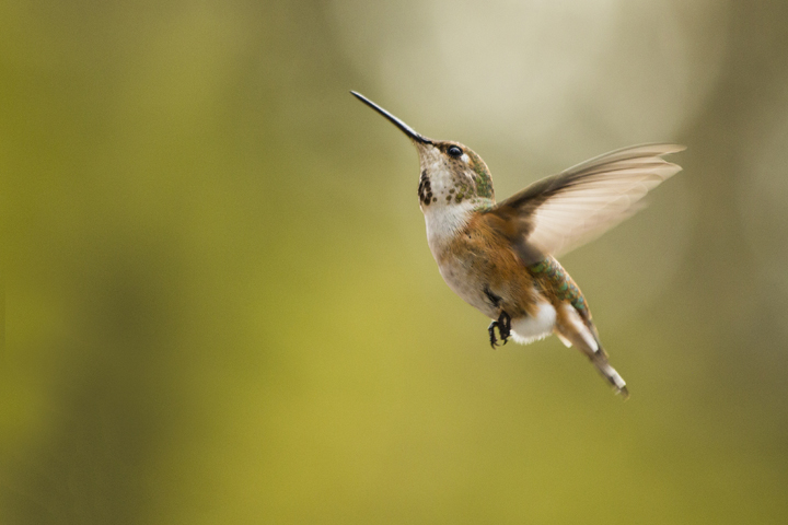 Landscape and Travel 70