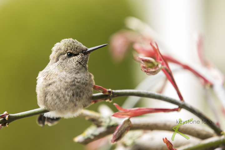 Landscape and Travel 71