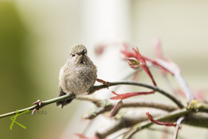 Landscape and Travel 72