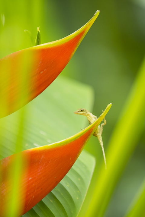 Landscape and Travel 73