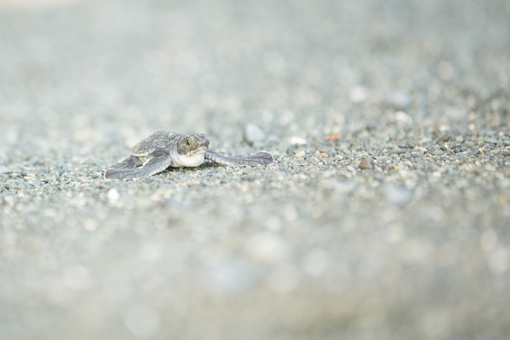 Landscape and Travel 74