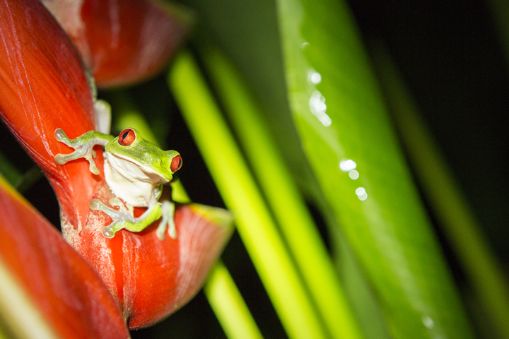 Landscape and Travel 75