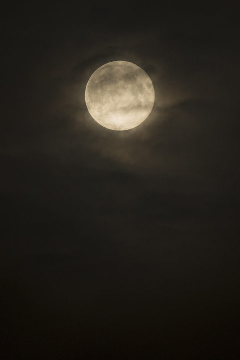 Landscape and Travel 76